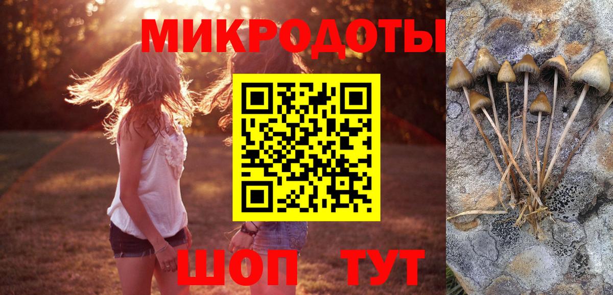 Псилоцибиновые грибы мицелий Лысьва