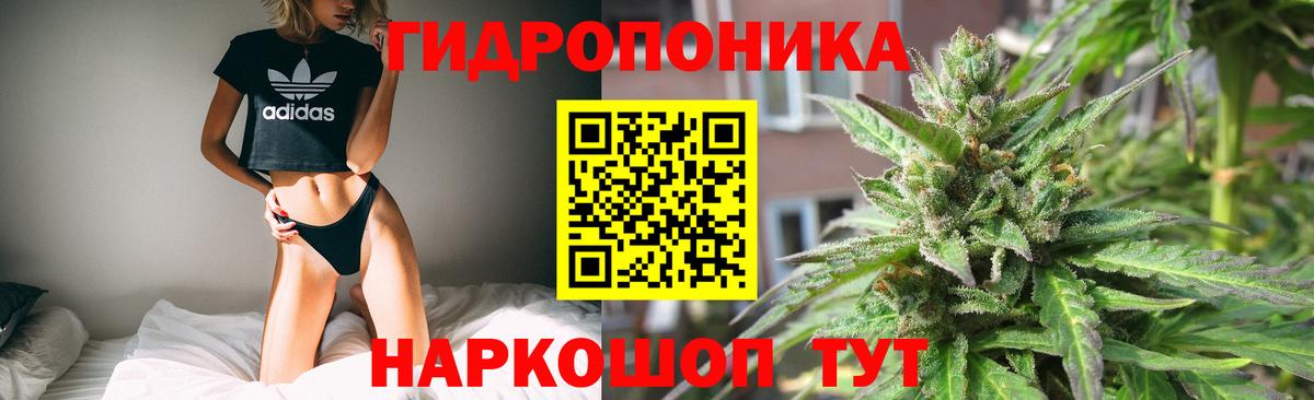 МАРИХУАНА семена Лысьва